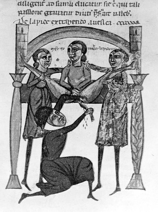 La chirurgia di M. Rolando da Parma detto dei Cappezzuti : riproduzione del codice latino n. 1382 della R. Biblioteca casanatense Roma / volgarizzamento e note del Giovanni Carbonelli.