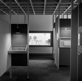 1969 Exhibition: vision and the eye