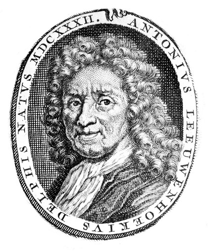 Epistolae physiologicae super compluribus naturae arcanis; ubi variorum animalium atque plantarum fabrica, conformatio, proprietates atque operationes, novis ... / experimentis illustrantur ... hactenus numquam editae.
