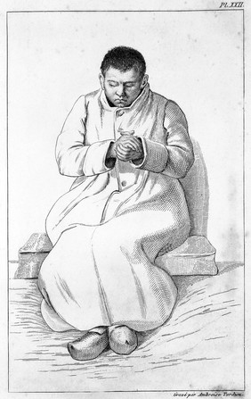 Des maladies mentales considérées sous les rapports médical, hygiénique et médico-légal / [Etienne Esquirol].