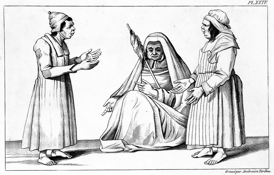 Des maladies mentales considérées sous les rapports médical, hygiénique et médico-légal / [Etienne Esquirol].