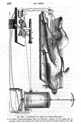 Leçons de physiologie opeŕatoire.