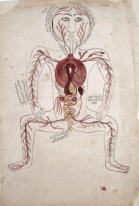 The viscera and the arterial system. Watercolour painting by a Persian artist.