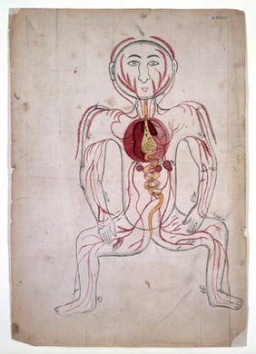 The viscera and the venous system. Watercolour drawing by a Persian artist.