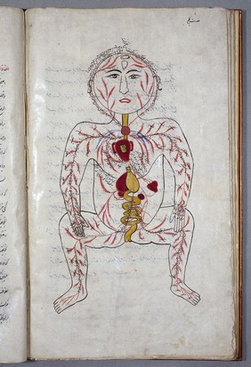 Human body, arteries and viscera, Persian, 1893