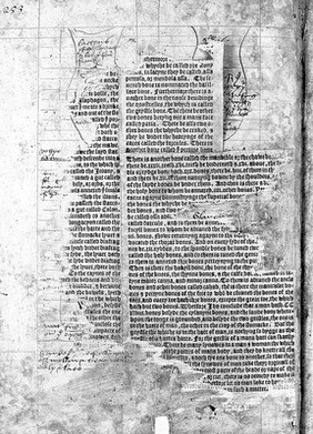 Anatomical fugitive sheets: circa 1540