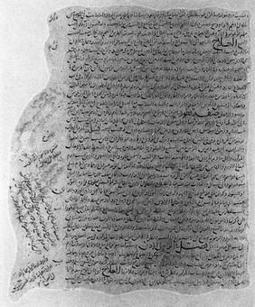 Arabic Manuscript: Al-Hawi (Continens), Rhazes