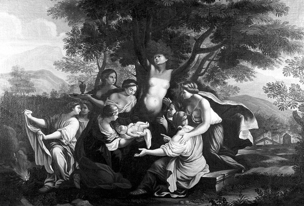 Myrrha, being transformed into the myrrh tree, gives birth to Adonis. Oil painting by a follower of Luigi Garzi.