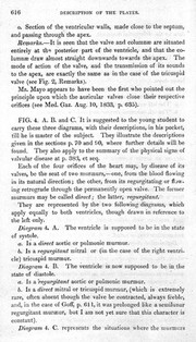 Description of contraction of the mitral valve.