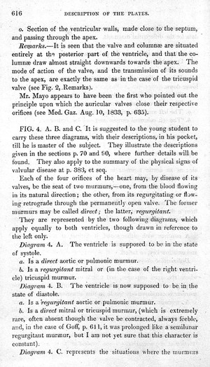 view Description of contraction of the mitral valve.