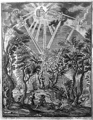 Strychnomania explicans strychni manici antiquorum, vel solani furiosi recentiorum, historiae monumentum, indolis nocumentum, antidoti documentum ... / Johannes Matth. Faber.