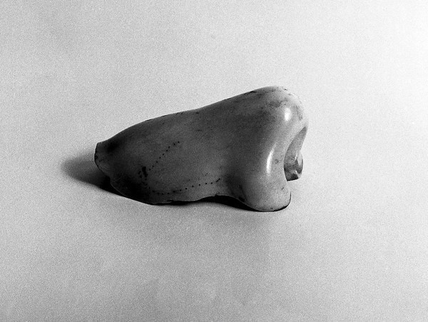 Ivory artificial nose.
