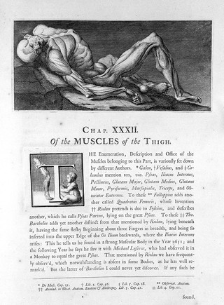 Myotomia reformata: or an anatomical treatise on the muscles of the human body ... To which is prefix'd an introduction concerning muscular motion / [William Cowper].