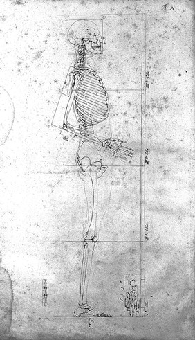 Tabula A "Darstellung des Knochenbaues von dem menschlichen Korper", J. M. Fischer, 1806