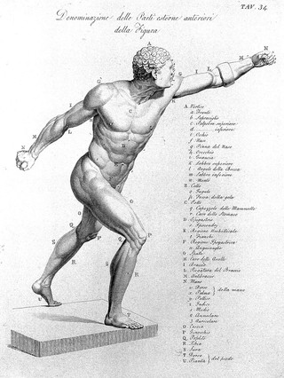 Anatomia per uso dei pittori e scultori / Di Giuseppe Del Medico.