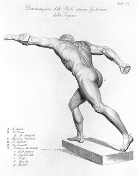 Anatomia per uso dei pittori e scultori / Di Giuseppe Del Medico.