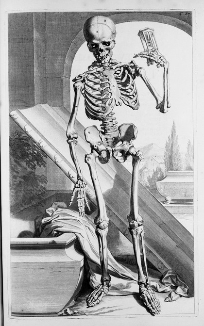 Anatomia Humani Corporis - The First Edition Rare Books