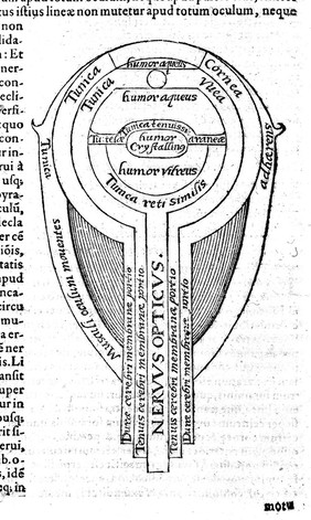 I.A. Haitham, Diagram of the eye, 16th century