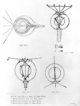 Zur Physik Leonardo da Vincis / [Otto Werner].
