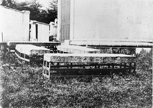 view Mortsafes in Cluny graveyard, Aberdeenshire.