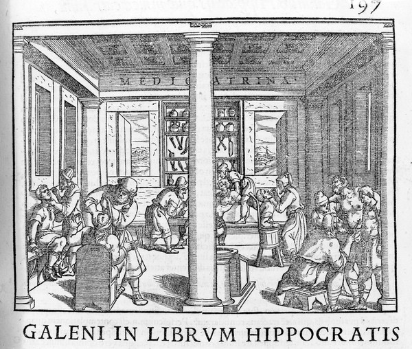 Omnia quae extant in Latinum sermonem conversa / Ex tertia Juntarum editione [cum indice Antonii Musae Brasavoli].