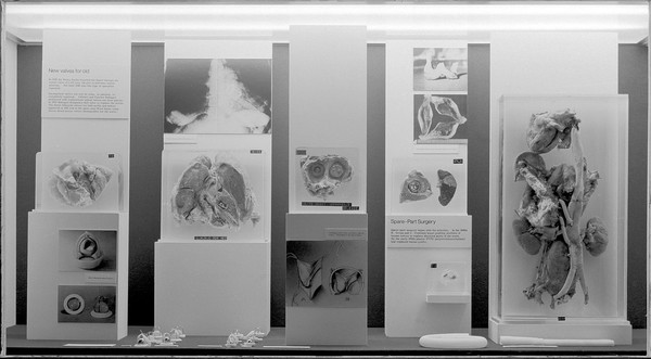 Panels of Heart Exhibition