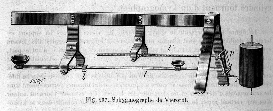 La circulation du sang à l'état physiologique et dans les maladies / par E.J. Marey.