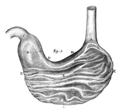 Pharmaceutice rationalis sive diatriba de medicamentorum operationibus in humano corpore. [Pars prima] / [Thomas Willis].