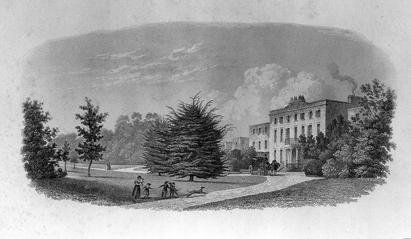 History and present state of Brislington House near Bristol : an asylum for the cure & reception of insane persons, established by Edward Long Fox ... 1804 and now conducted by F. & C. Fox / [Francis Ker Fox].