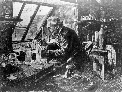 Yves Delage in his laboratory at Roscoff, ca. 1911. Photogravure after Mathurin Méheut.