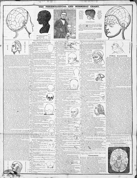 J.S. Butterworth, 'The phrenological and mesmeric chart.'