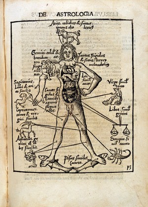 view De Astrologia. Astrological Man: 1503