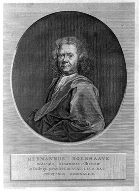 Portrait of Hermann Boerhaave, after Wandelaar's drawing from the life