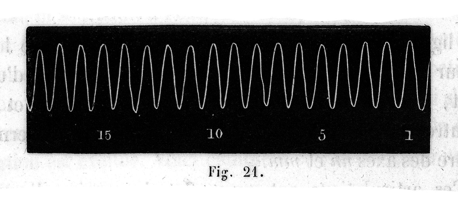 Une vingtaine de battements écrits à la suite sur une plaque noircie : tracés obtenus au sphygmographe de Vierordt. Planche de manuel médical, non datée.
