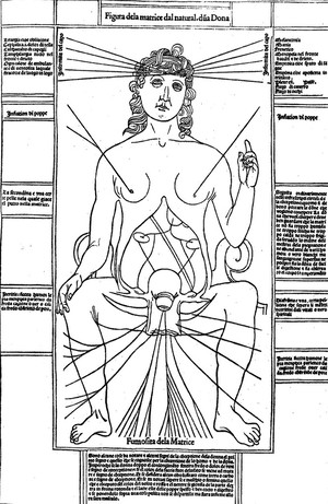 view J. Ketham, female figure showing uterus