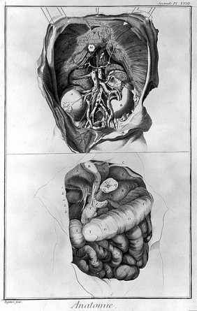 [Encyclopédie, ou dictionnaire raisonné des sciences, des arts et des métiers] / par une sociéte de gens de lettres. Recueil de planches sur les sciences, les arts libéraux et les arts méchaniques, avec leur explication. [Anon].