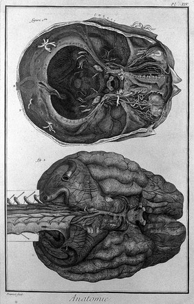 The brain, after Haller and Ridley. Engraving by Prevost, 1762.