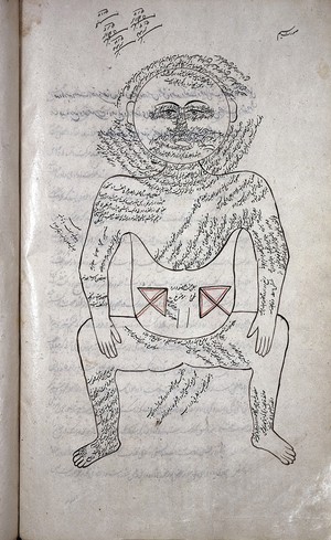 view Human body with anatomical terms, Persian, 1893