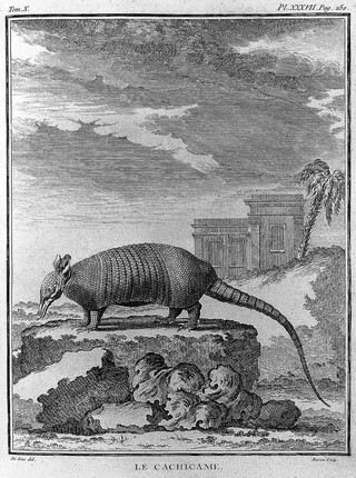 Histoire naturelle, générale et particuliére, avec la description du cabinet du roi / [Georges Louis Leclerc Buffon].