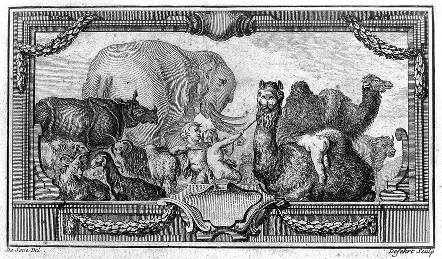 Histoire naturelle, générale et particuliére, avec la description du cabinet du roi / [Georges Louis Leclerc Buffon].