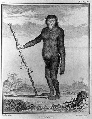 Histoire naturelle, générale et particuliére, avec la description du cabinet du roi / [Georges Louis Leclerc Buffon].