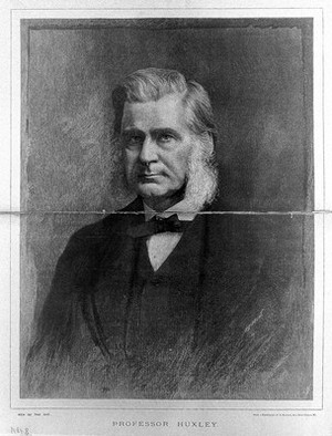 view Thomas Henry Huxley. Wood engraving by M. K. Wright, 1891, after A. Bassano.