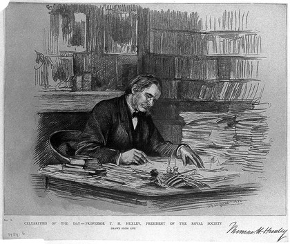 Thomas Henry Huxley. Reproduction of drawing by T. B. Wirgman, 1882.
