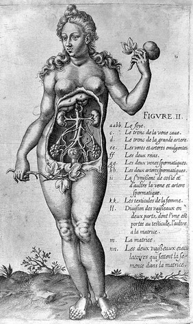 Trois discours philosophiques. Le I. de la comparaison de l'homme avec le monde. Le II. du principe de la generation de l'homme. Le III. de l'humeur melancholique / Mis de nouveau en lumiere par Jourdain Guibelet, M.