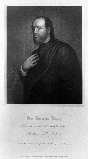 view Portrait of Sir K. Digby