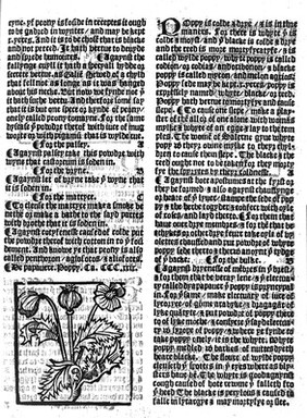 The grete herball whiche gyueth parfyt knowlege and vnderstandyng of all maner of herbes and there gracyous vertues ... Also it geveth parfyte vnderstandynge of the booke lately prynted by me (Peter treueris) named the noble experiens of the vertuous handwarke of surgery.