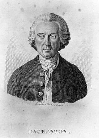 Louis-Jean-Marie Daubenton. Stipple engraving.