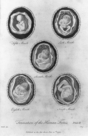 The medical mirror; or treatise on the impregnation of the human female. Shewing the origin of diseases, and the principles of life and death / [E. Sibly].