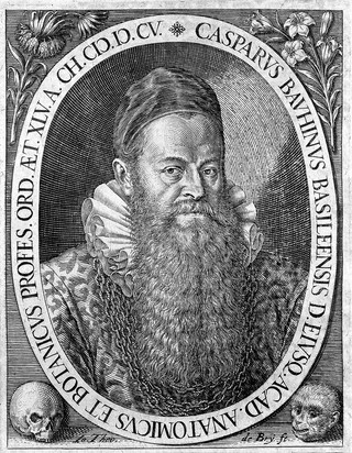 Caspar Bauhin. Line engraving by J.T. de Bry.