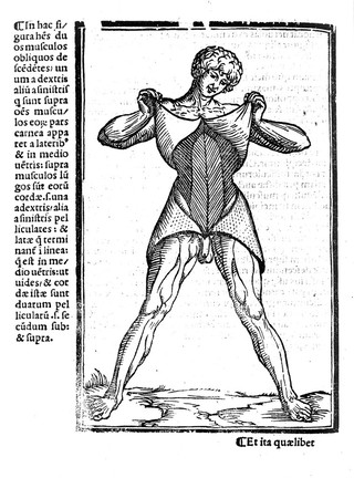 Carpi commentaria cũm amplissimis additionibus super Anatomia Mũndini vna cum textu eiusdẽm in pristinũm et verum nitorèm redacto / [Jacopo Berengario da Carpi].